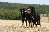 BEAUCERON 745